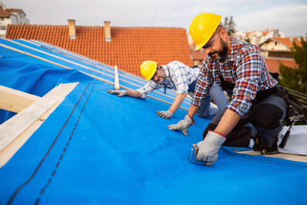 Best Chimney Flashing Repair  in Curtisville, PA